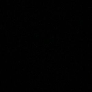 Meet your Posher, Arwen